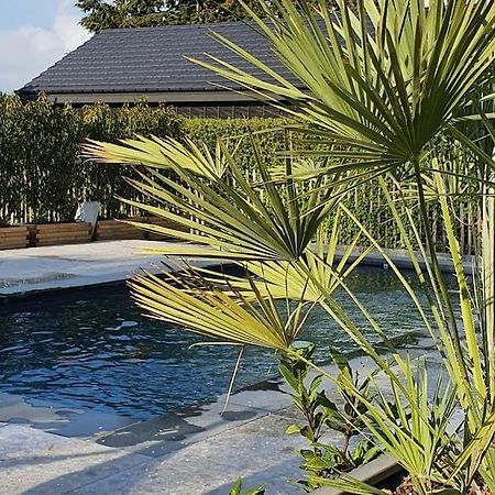 Pine Cottage- 5 Minutes Francorchamps - Charme -Piscine-Calme-Jardin Sart  Exterior photo