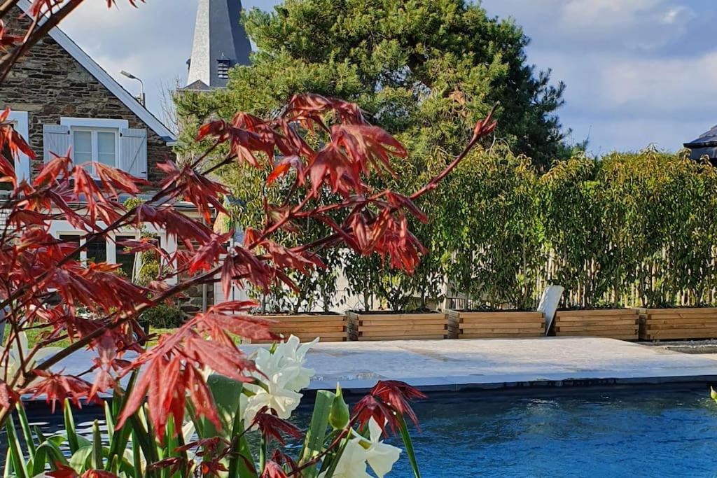 Pine Cottage- 5 Minutes Francorchamps - Charme -Piscine-Calme-Jardin Sart  Exterior photo