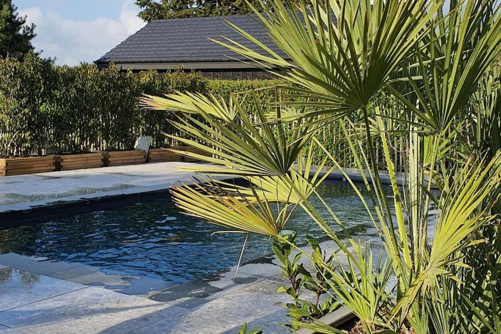 Pine Cottage- 5 Minutes Francorchamps - Charme -Piscine-Calme-Jardin Sart  Exterior photo